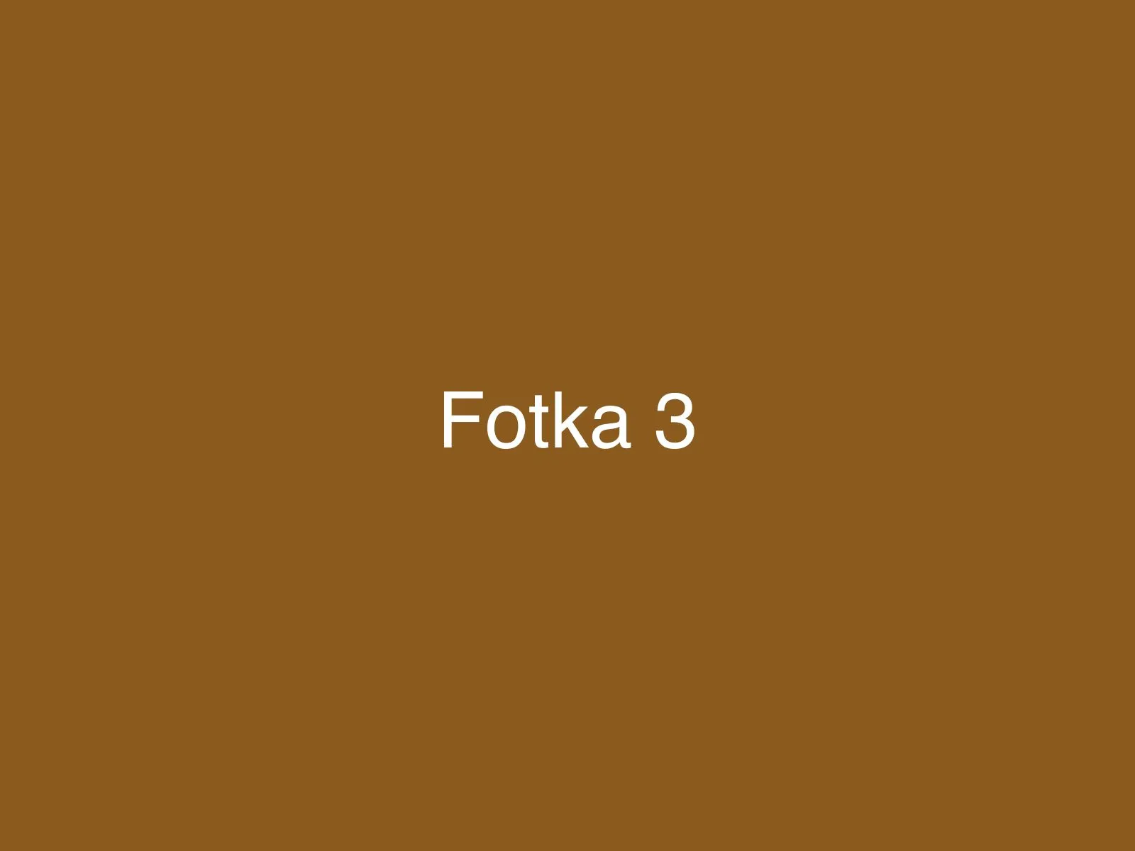 Fotka 3