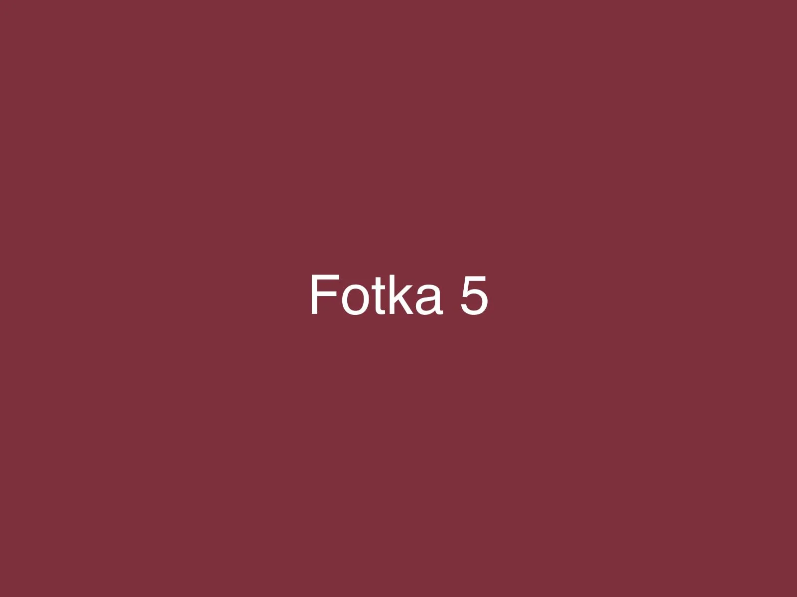 Fotka 5