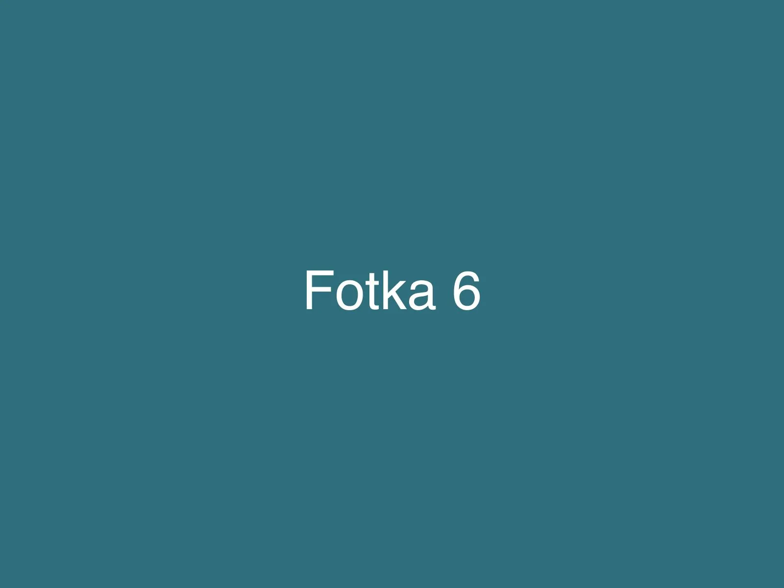 Fotka 6